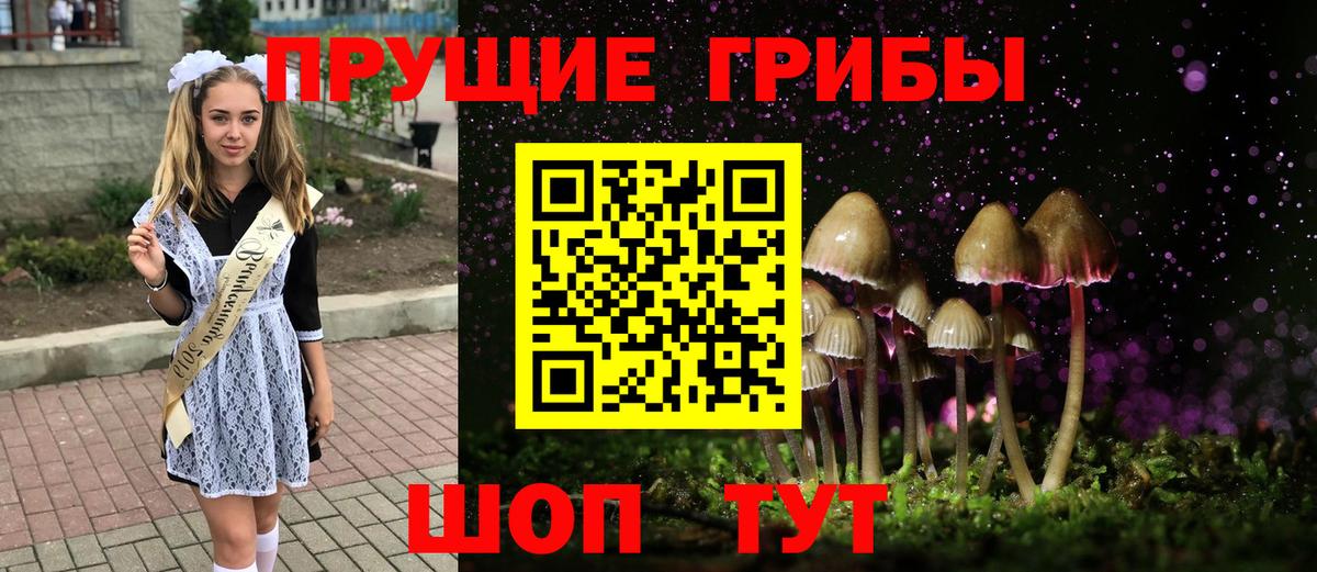 Псилоцибиновые грибы Psilocybe Туймазы